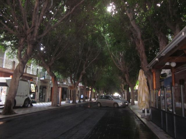 Strada coperta da alberi a Sant'Antioco - Movingitalia.it