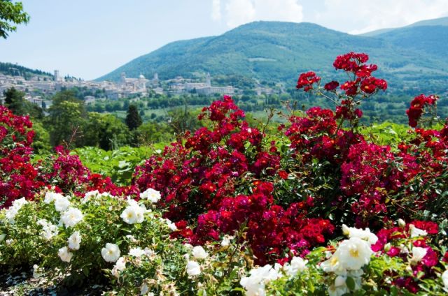 Paesaggio di Assisi in Umbria - Movingitalia.it