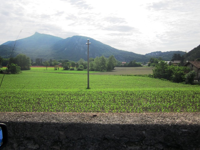 piantagioni di mais Bisuschio - Movingitalia.it
