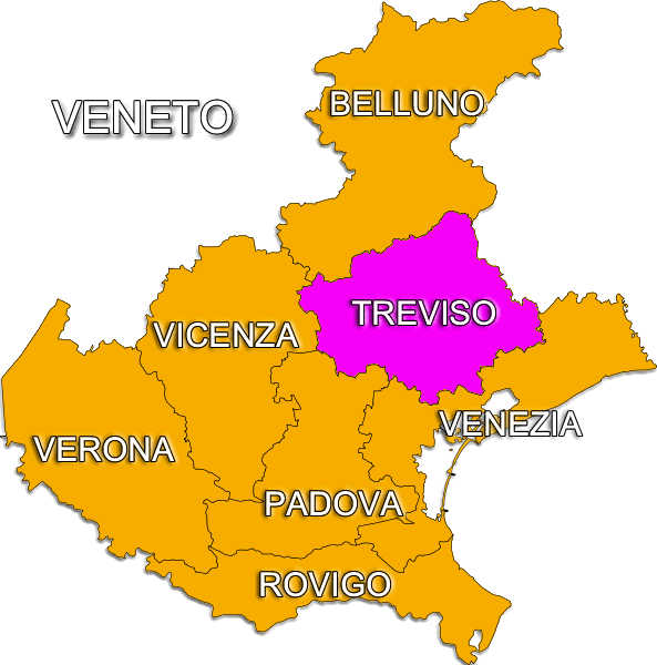 Mogliano Veneto